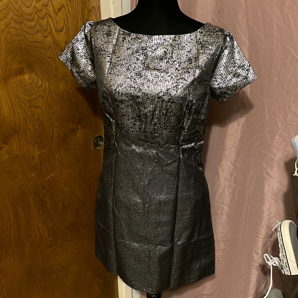 Lucy & Co. NWT metallic lined mini dress with pockets,szM